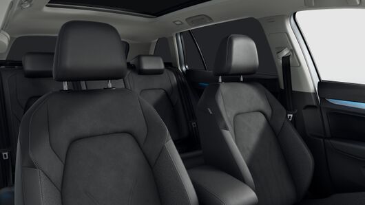 Bild eines Golf Variant Business mHeV DSG