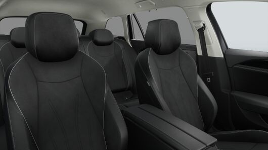 Bild eines Passat Variant Business eTSI DSG