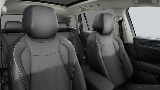Bild eines Tiguan Elegance eHybrid DSG 150 kW