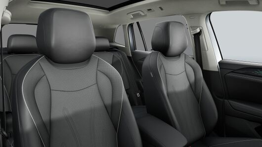 Bild eines Tiguan Elegance eHybrid DSG 150 kW