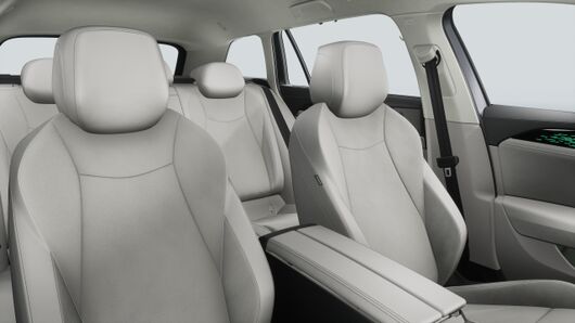 Bild eines Passat Variant Elegance eTSI DSG