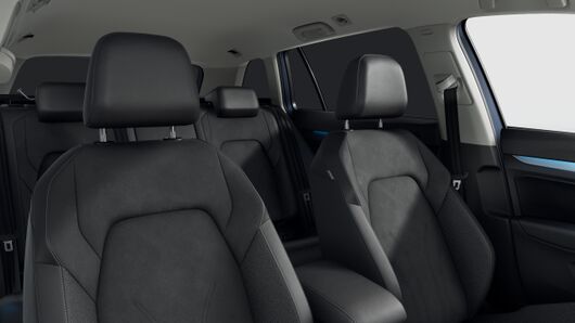 Bild eines Golf Variant Business mHeV TSI DSG