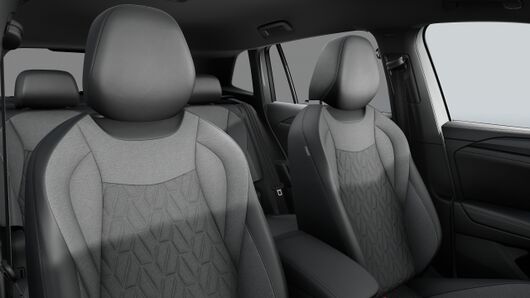 Bild eines Tiguan Friends eTSI DSG