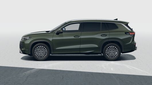 Bild eines Tayron Friends TDI DSG