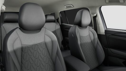 Bild eines Tayron Friends TDI DSG