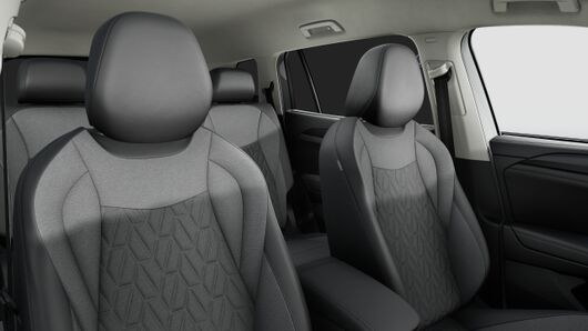 Bild eines Tayron Friends TDI DSG