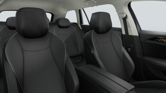 Bild eines Passat Variant Business TDI DSG