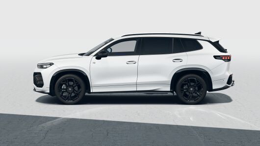 Bild eines Tayron Sport TDI DSG
