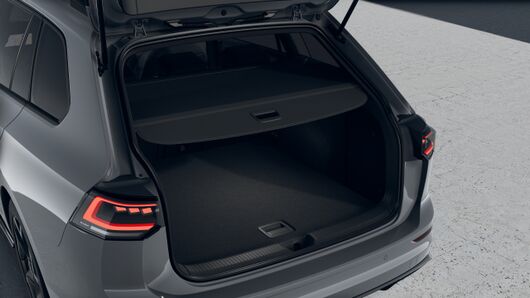 Bild eines Golf Variant R-Line mHeV DSG