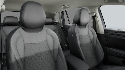 Bild eines Tiguan Friends eTSI DSG