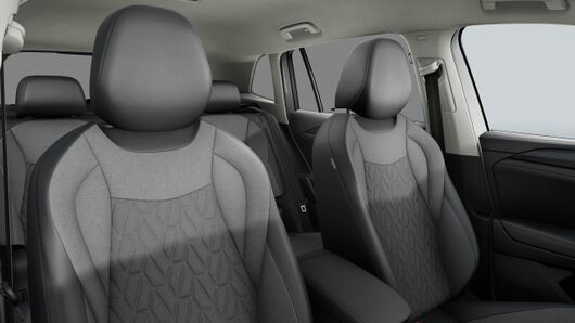 Bild eines Tiguan Friends eTSI DSG