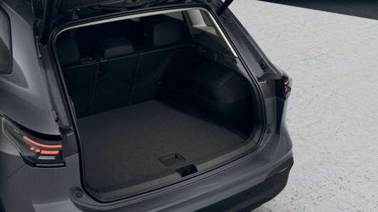 Bild eines Tiguan Friends eTSI DSG