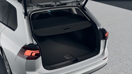 Bild eines Golf Variant Business mHeV DSG