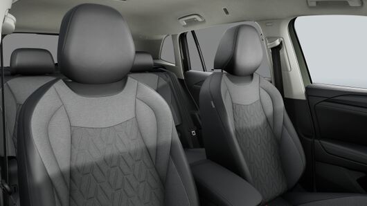 Bild eines Tiguan Friends eTSI DSG