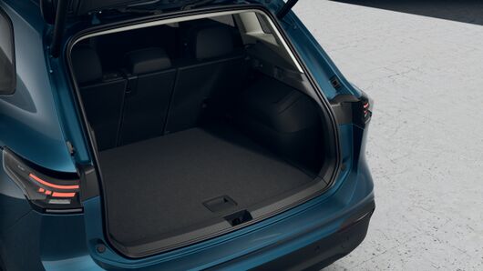 Bild eines Tiguan Friends eTSI DSG