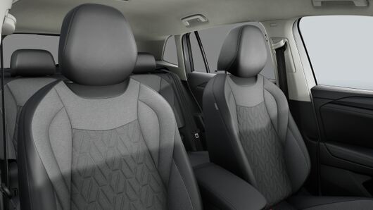 Bild eines Tiguan Friends eTSI DSG