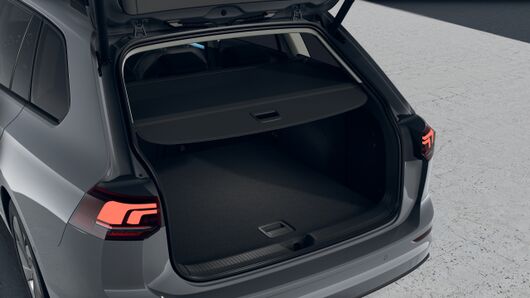 Bild eines Golf Variant Business TDI