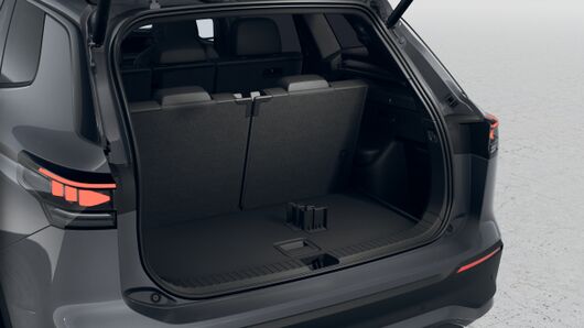 Bild eines Tayron Friends TDI DSG