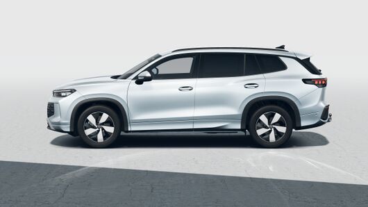 Bild eines Tayron Friends TDI DSG