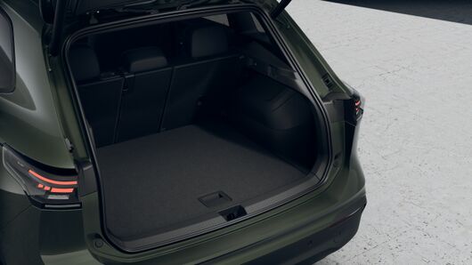 Bild eines Tiguan Friends eTSI DSG