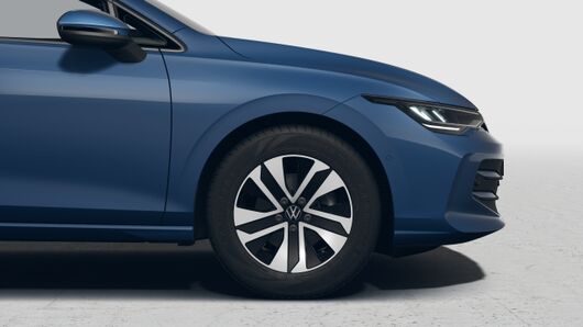 Bild eines Golf Variant Business TSI