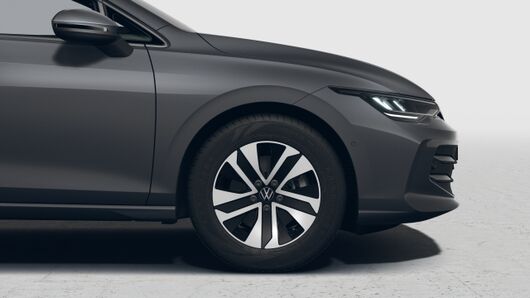 Bild eines Golf Variant Business TDI