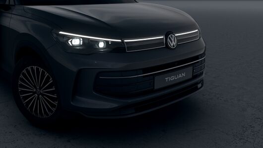 Bild eines Tiguan Friends eTSI DSG