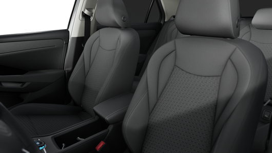 Bild eines T-Roc Life eTSI DSG