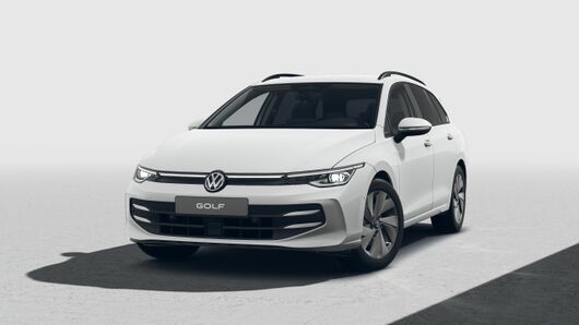 Bild eines Golf Variant Business TDI DSG