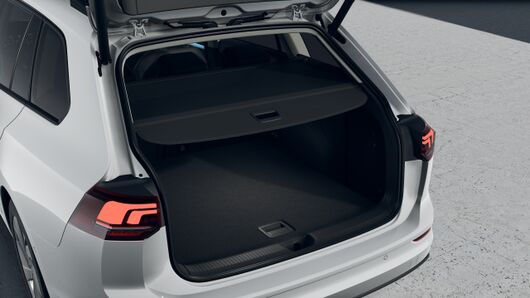 Bild eines Golf Variant Business TSI