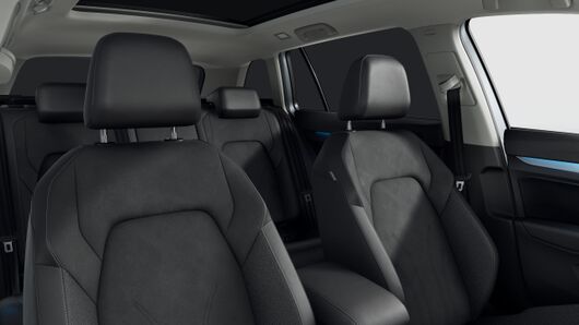 Bild eines Golf Variant Business mHeV TSI DSG