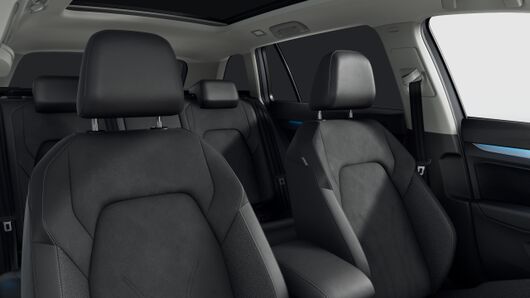Bild eines Golf Variant Business mHeV TSI DSG
