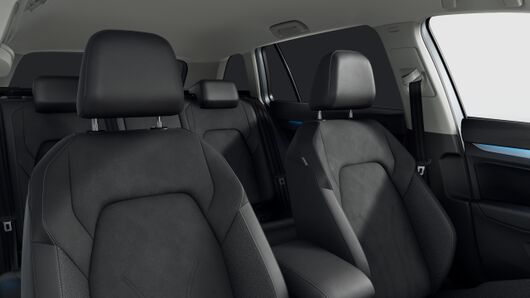 Bild eines Golf Variant Business mHeV DSG