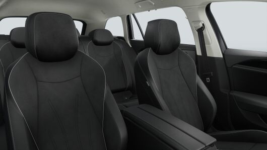 Bild eines Passat Variant Business TDI DSG