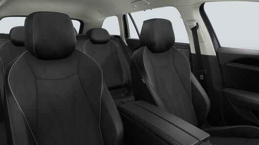 Bild eines Passat Variant Business TDI DSG
