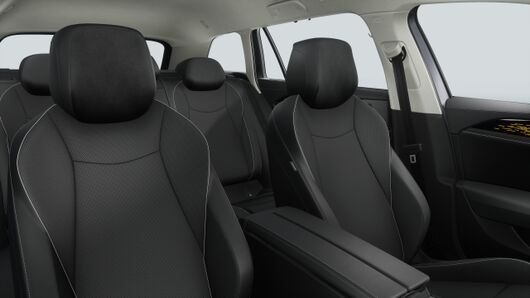 Bild eines Passat Variant Business TDI DSG