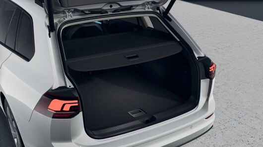 Bild eines Golf Variant Business TSI