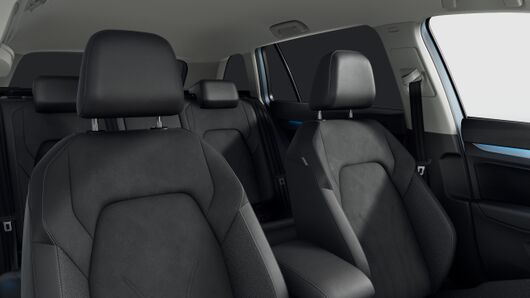 Bild eines Golf Variant Business mHeV DSG