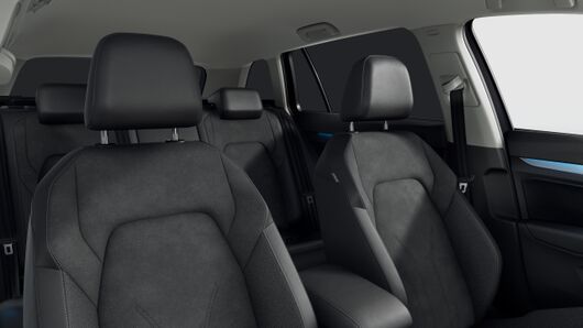 Bild eines Golf Variant Business mHeV DSG