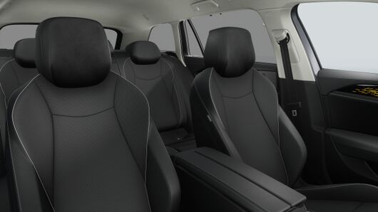 Bild eines Passat Variant Business TDI 4MOTION DSG