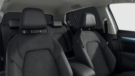 Bild eines Golf Falco Edition TSI