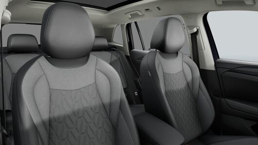 Bild eines Tiguan Friends eTSI DSG