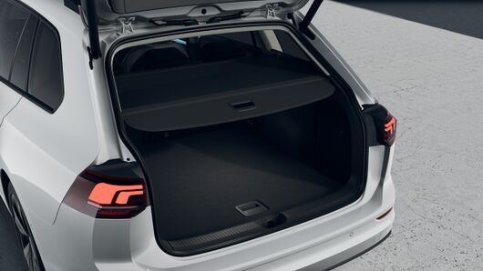 Bild eines Golf Variant Business TSI