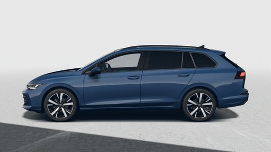 Bild eines Golf Variant Business TSI
