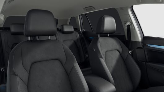 Bild eines Golf Variant Business TDI DSG