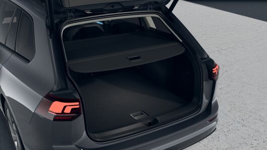 Bild eines Golf Variant Business TDI DSG