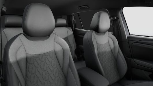 Bild eines Tayron Friends TDI DSG