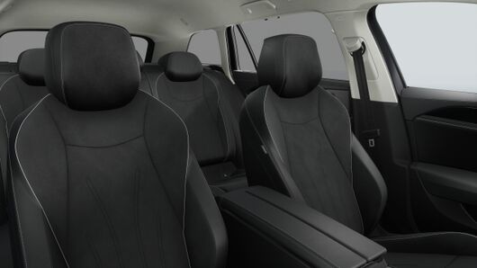 Bild eines Passat Variant Business TDI DSG