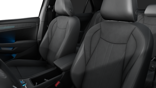 Bild eines T-Roc Style eTSI DSG