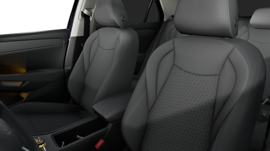 Bild eines T-Roc Life eTSI DSG